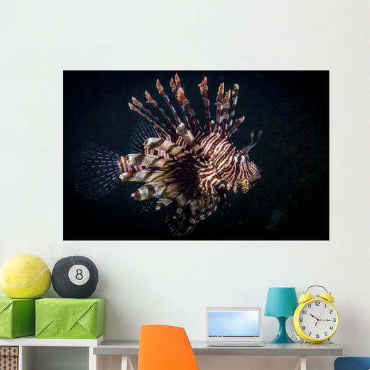 Lionfish Portrait Anilao Philippines Wall Decal