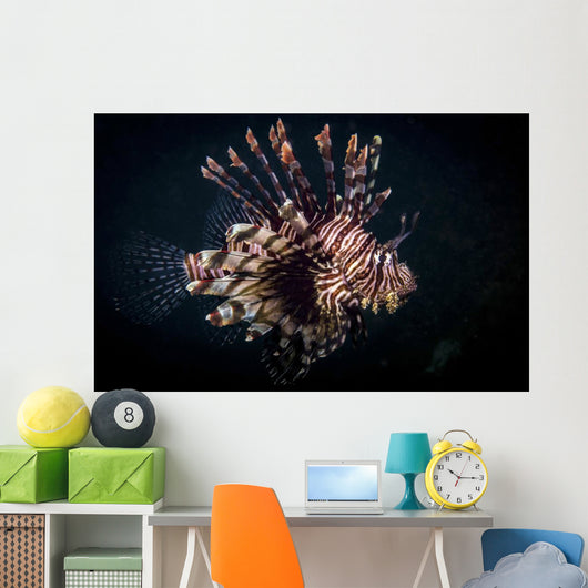 Lionfish Portrait Anilao Philippines Wall Decal
