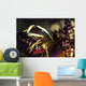 Brook's Urchin Shrimp Living Wall Decal