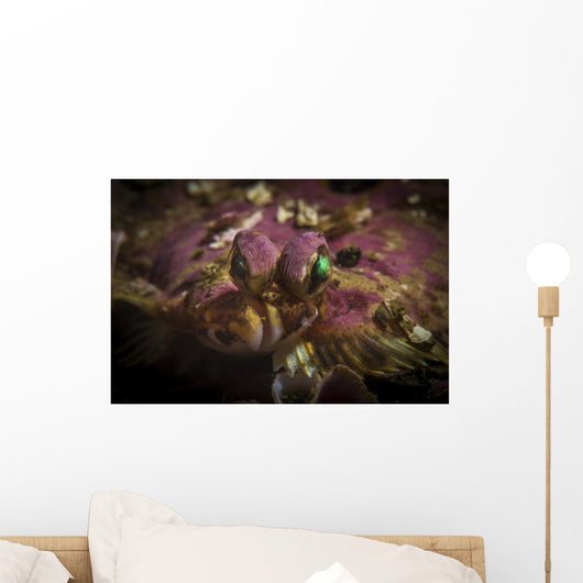 Flatfish Portrait Monterey California Wall Decal