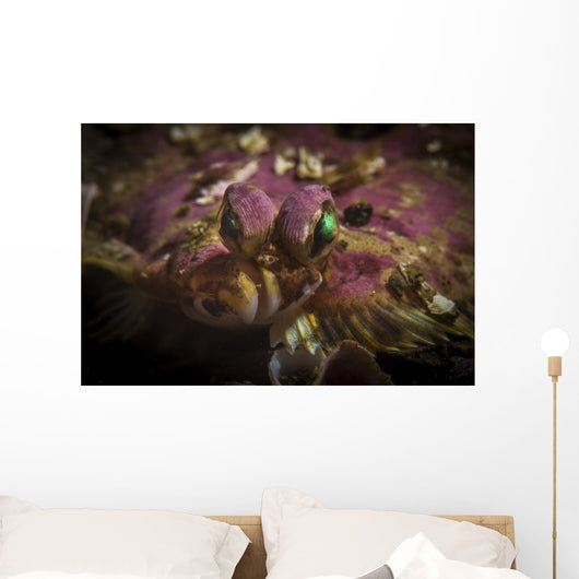 Flatfish Portrait Monterey California Wall Decal