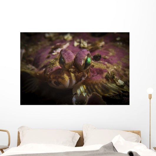 Flatfish Portrait Monterey California Wall Decal