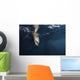 Sea Lion Dips Its Wall Decal