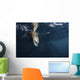 Sea Lion Dips Its Wall Decal