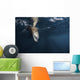 Sea Lion Dips Its Wall Decal