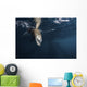Sea Lion Dips Its Wall Decal