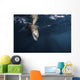 Sea Lion Dips Its Wall Decal