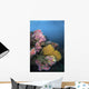 Cup Corals and Gorgonian Wall Decal