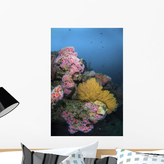 Cup Corals and Gorgonian Wall Decal