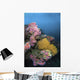 Cup Corals and Gorgonian Wall Decal