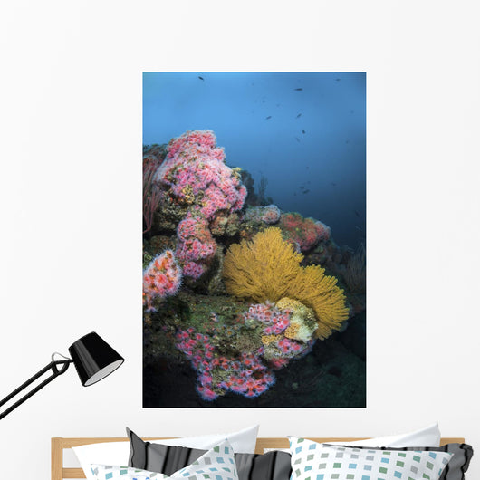 Cup Corals and Gorgonian Wall Decal