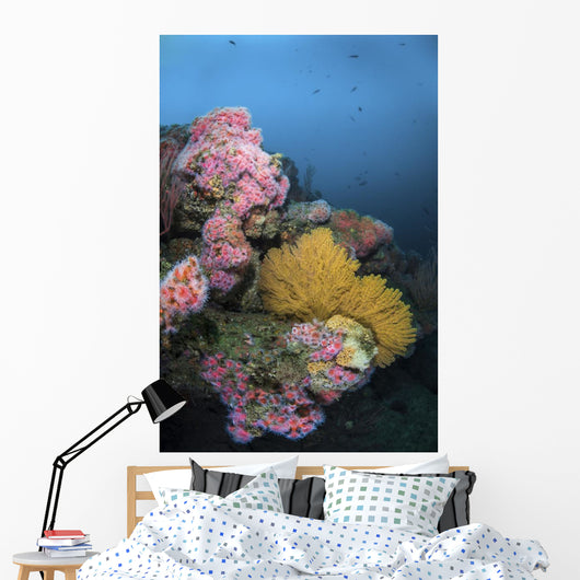 Cup Corals and Gorgonian Wall Decal