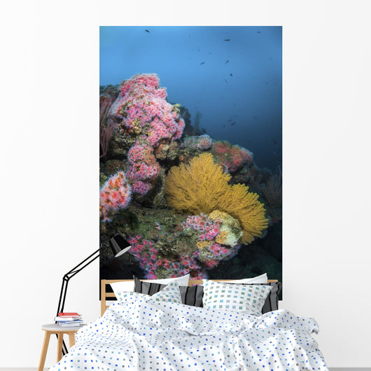 Cup Corals and Gorgonian Wall Decal