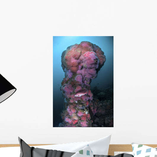 Structure Hawthorne Reef Covered Wall Decal