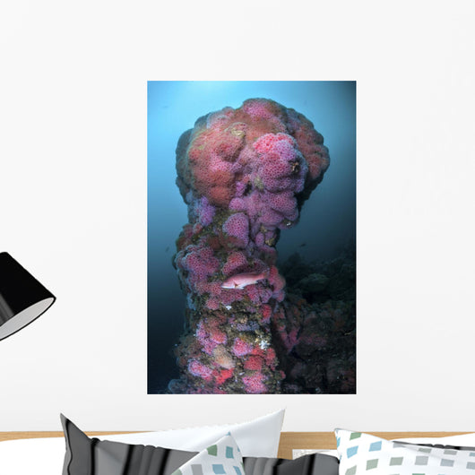Structure Hawthorne Reef Covered Wall Decal
