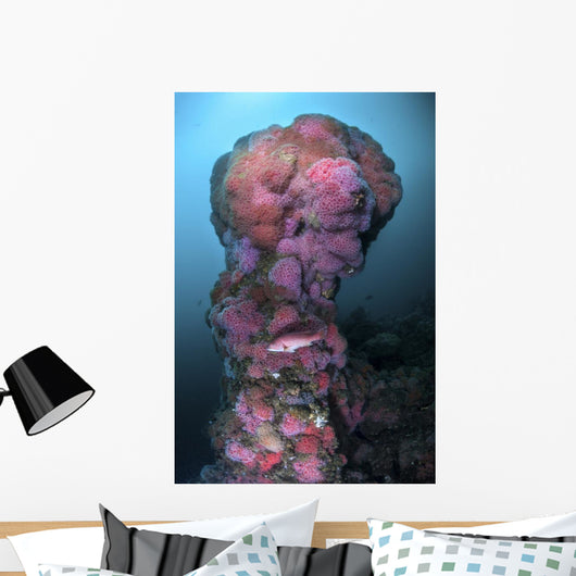 Structure Hawthorne Reef Covered Wall Decal