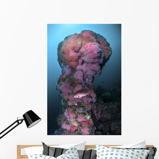 Structure Hawthorne Reef Covered Wall Decal