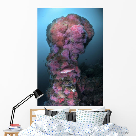 Structure Hawthorne Reef Covered Wall Decal