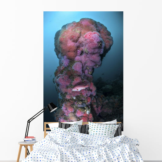 Structure Hawthorne Reef Covered Wall Decal