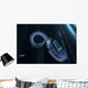 Chain Salp Floats Current Wall Decal