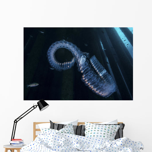 Chain Salp Floats Current Wall Decal