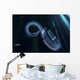 Chain Salp Floats Current Wall Decal
