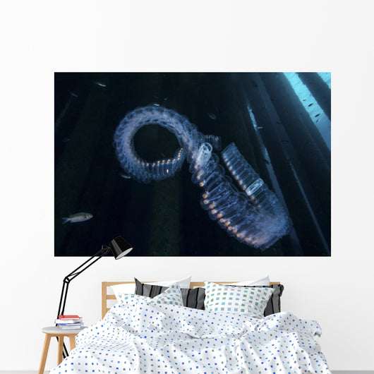 Chain Salp Floats Current Wall Decal