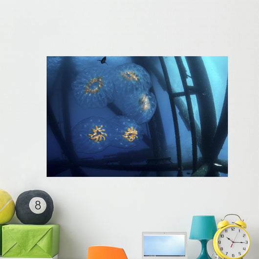 Chain Salp Floats Current Close-up Wall Decal