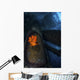 Garibaldi Guards Its Nest Front View Wall Decal