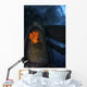 Garibaldi Guards Its Nest Front View Wall Decal
