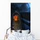 Garibaldi Guards Its Nest Front View Wall Decal