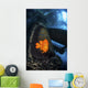 Garibaldi Guards Its Nest Wall Decal