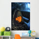 Garibaldi Guards Its Nest Wall Decal