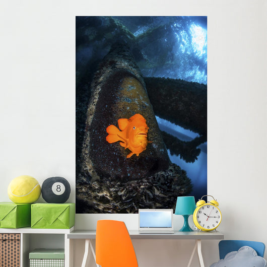 Garibaldi Guards Its Nest Wall Decal
