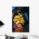 Soft Coral under Jetty Wall Decal