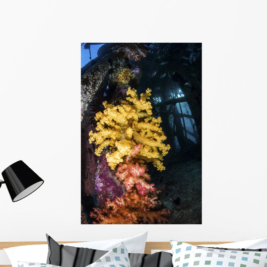 Soft Coral under Jetty Wall Decal