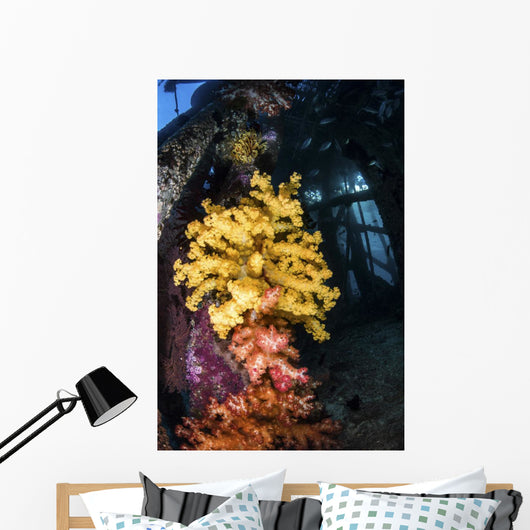 Soft Coral under Jetty Wall Decal