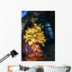 Soft Coral under Jetty Wall Decal
