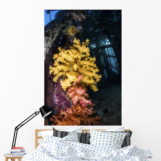 Soft Coral under Jetty Wall Decal