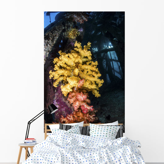 Soft Coral under Jetty Wall Decal