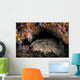 Wobbegong Shark Sleeps under Wall Decal