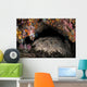 Wobbegong Shark Sleeps under Wall Decal