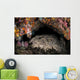 Wobbegong Shark Sleeps under Wall Decal