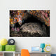 Wobbegong Shark Sleeps under Wall Decal