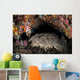 Wobbegong Shark Sleeps under Wall Decal