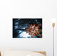 Soft Coral Grows under Wall Decal
