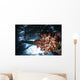 Soft Coral Grows under Wall Decal
