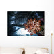 Soft Coral Grows under Wall Decal