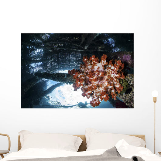 Soft Coral Grows under Wall Decal