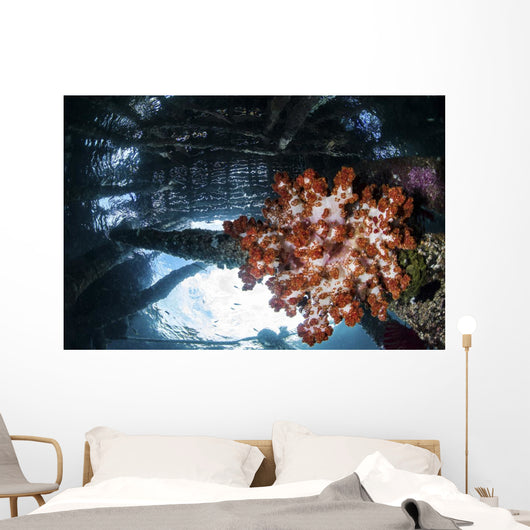 Soft Coral Grows under Wall Decal